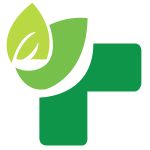 سلامت پخش یلدا